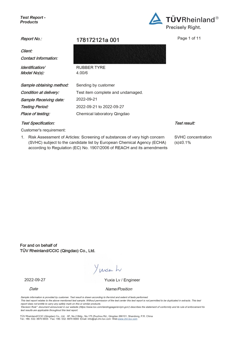 REACH Report Page 1