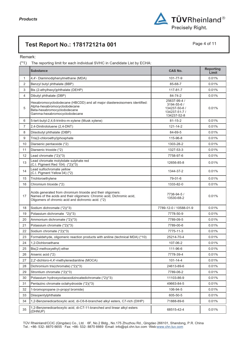 REACH Report Page 4