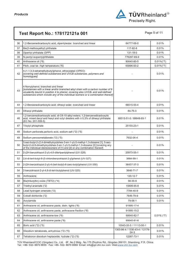 REACH Report Page 5