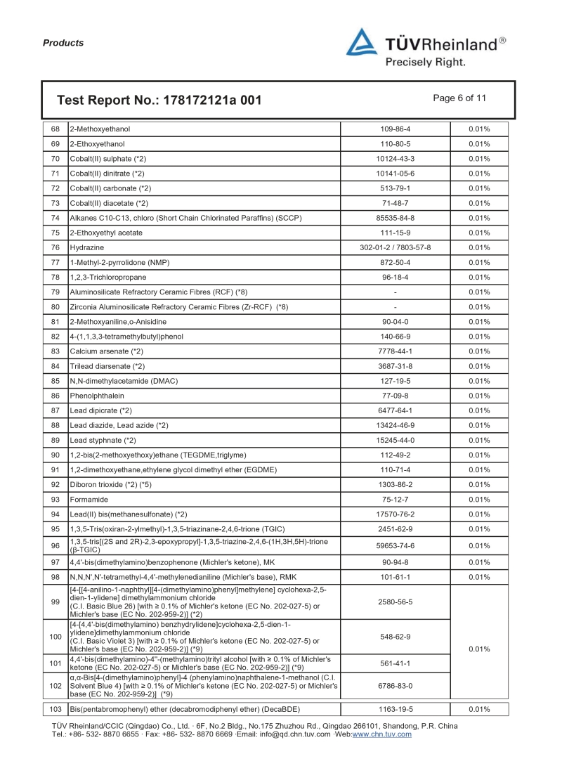 REACH Report Page 6
