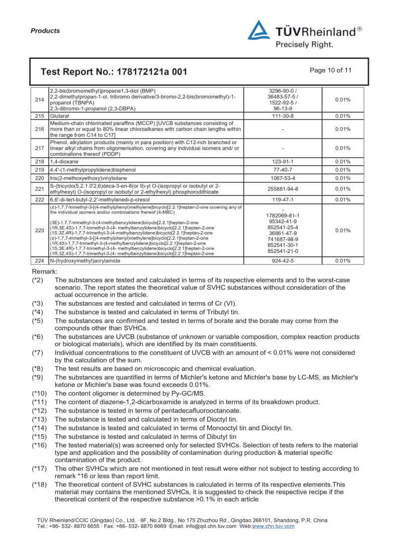 REACH Report Page 10